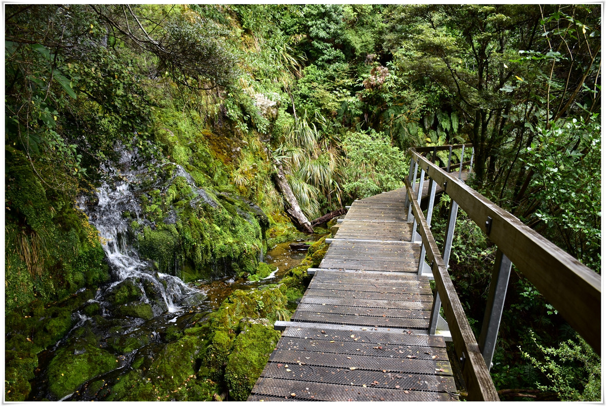 Kahurangi NP: Tableland/Mt Arthur Circuit (abril 2023) - Escapadas y rutas por la Nueva Zelanda menos conocida (10)