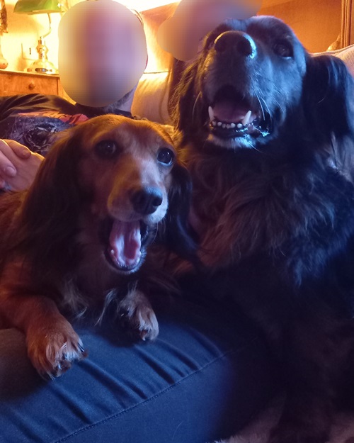 [Image: 20250217-181911.jpg]