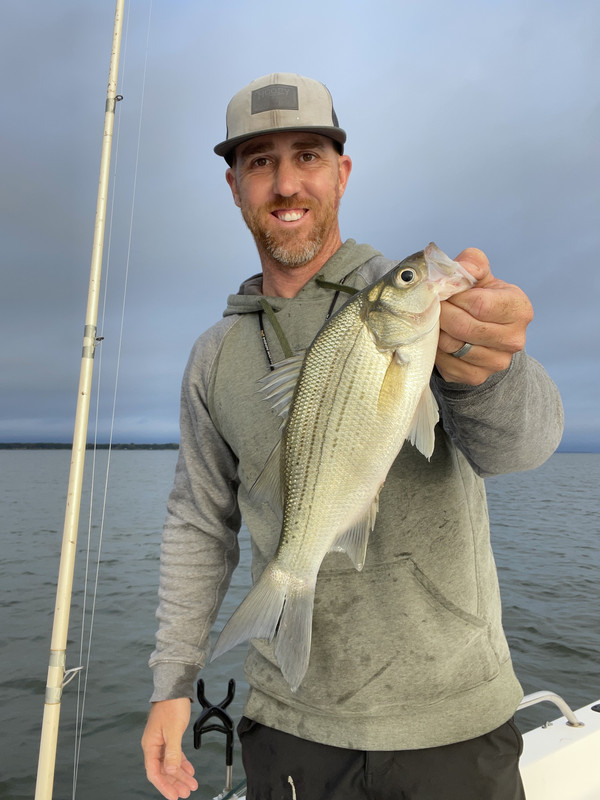 1821C580-06D4-477C-AA7E-A115939B9B83