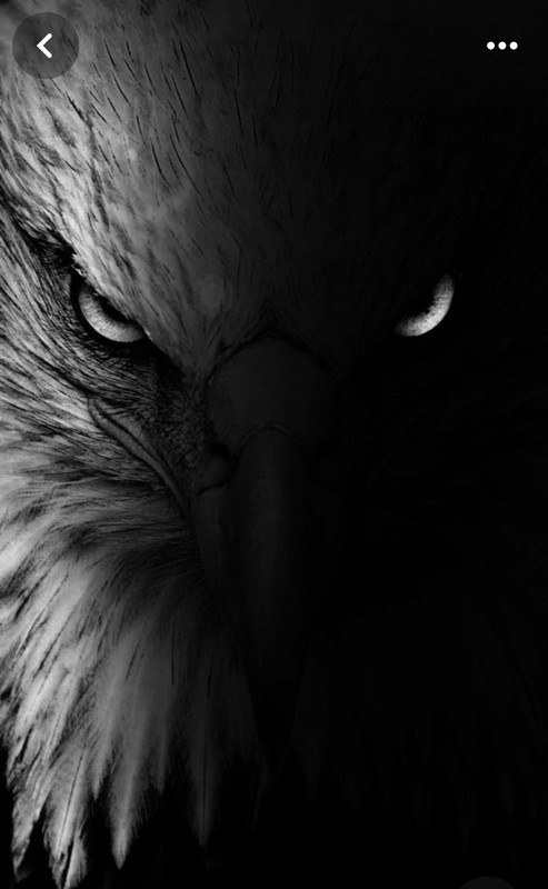 Screenshot_20240409_004856_Pinterest