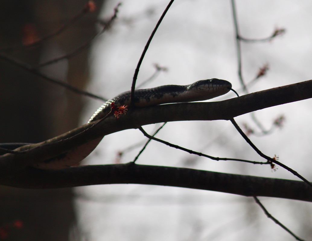 56921DAA-9D05-4D6D-BAE9-DD7B4F9FDC1A