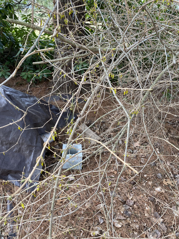 955A02C1-D9B5-4893-A7BD-B7E863C86F30