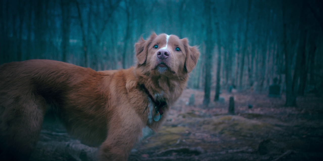 vlcsnap 2026 01 25 16h12m44s470