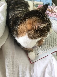 557-C6-FB1-361-A-4218-9-E0-D-9-FB70-DB04