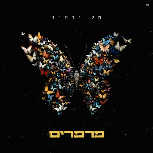 תמונה