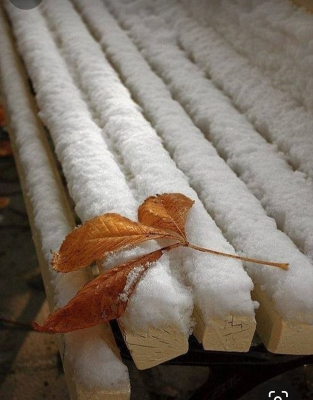 Screenshot_20231210_231356_Pinterest