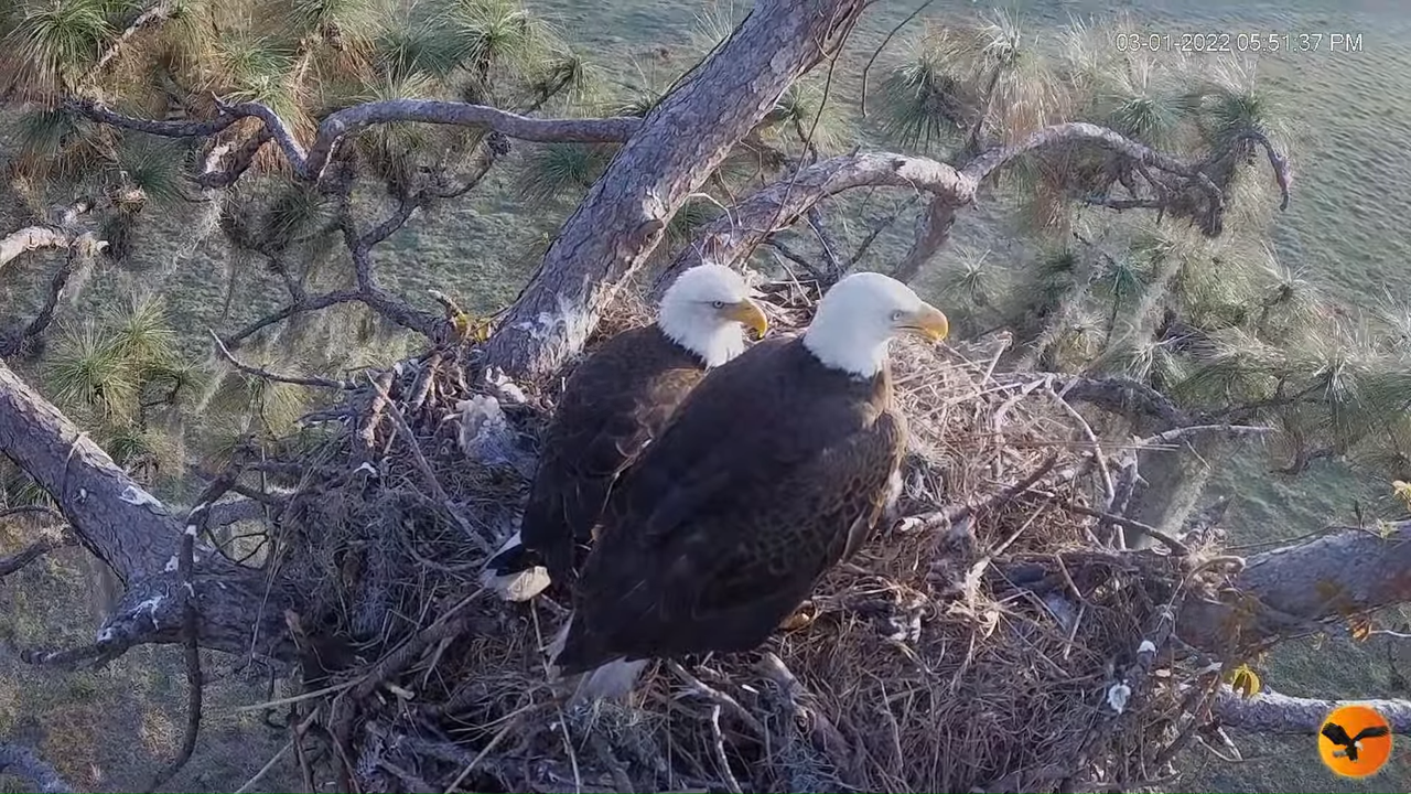 EC 4K Overhead Cam 3-0-24 screenshot