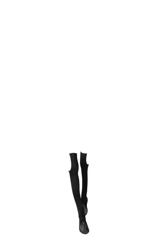 https://i.postimg.cc/Pr03gWXS/Chaussures-Midnight-Witch.png
