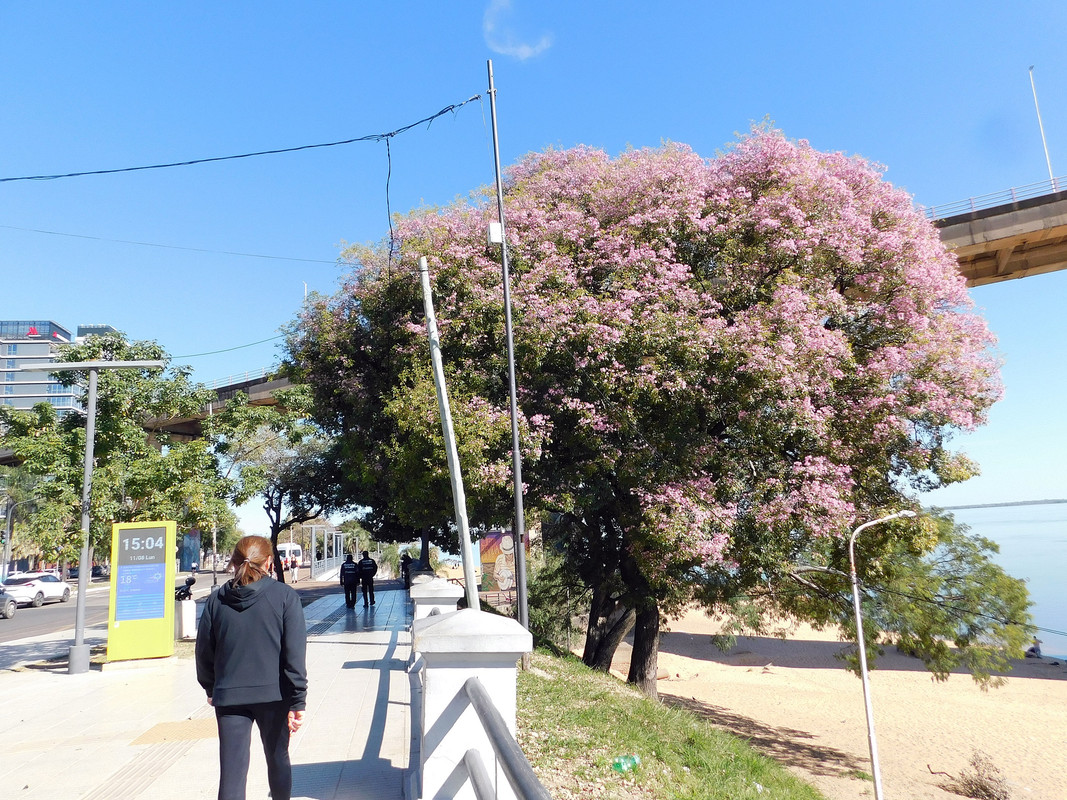 DSCN0194.jpg