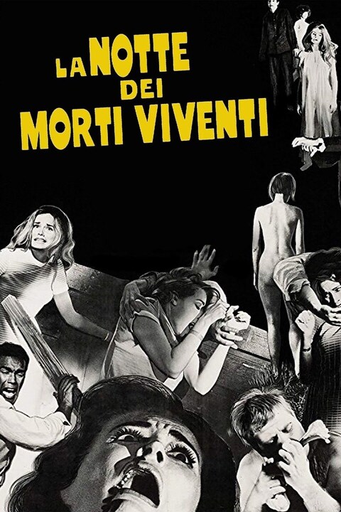 [Immagine: poster.jpg]