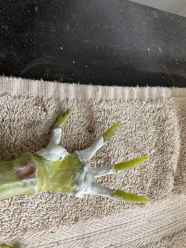 3B362504-73DF-4F96-B381-7C41F5764BE9