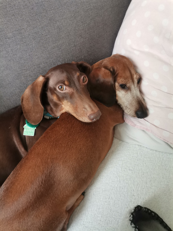 [Image: IMG-20230219-112947.jpg]