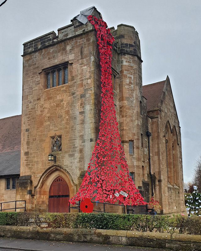 IMG_20201110_162406_946