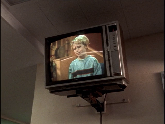 vlcsnap-2024-08-05-23h42m13s561