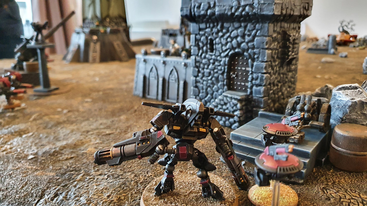 20211101_Salamanders_Taus (15)