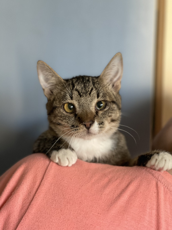 71B42820-0F70-42D1-9E40-04CECD371964