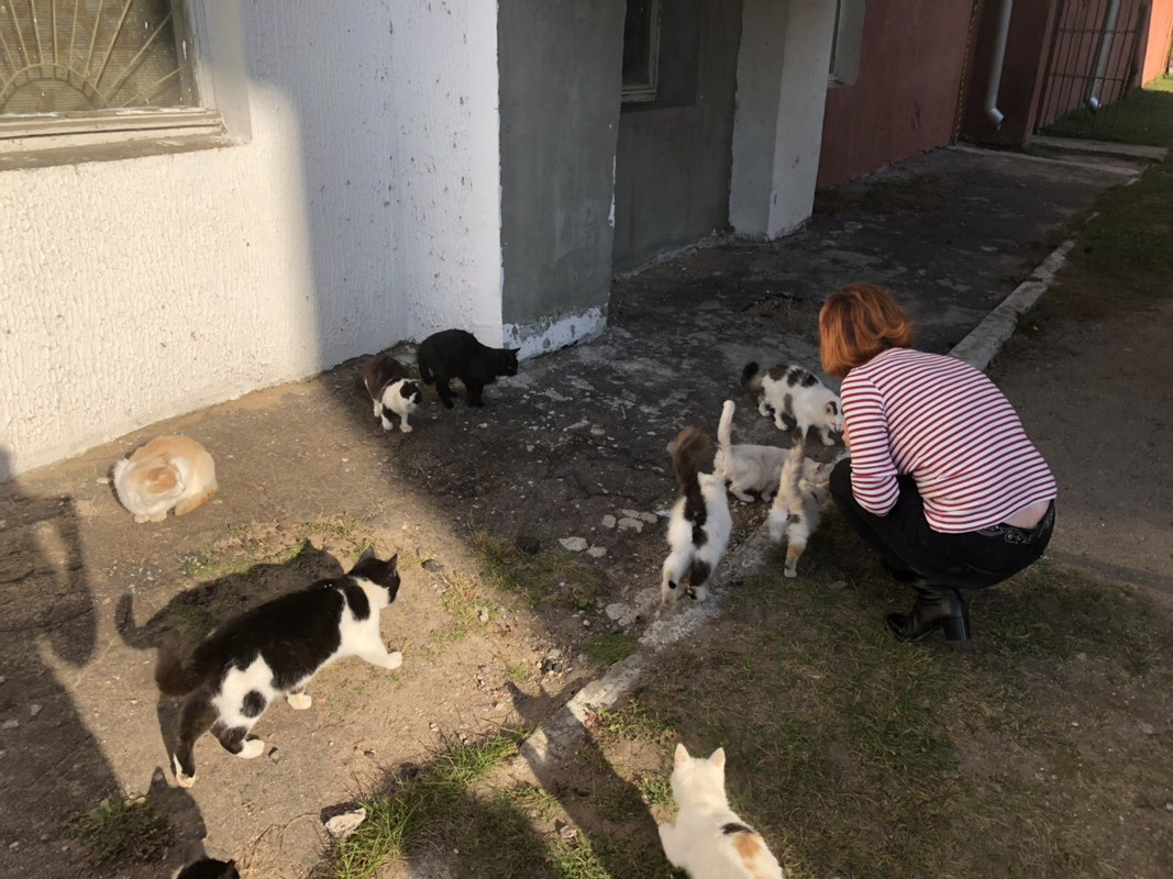 EBEC26AC-60A1-456C-9B21-7A6D3D562DB5