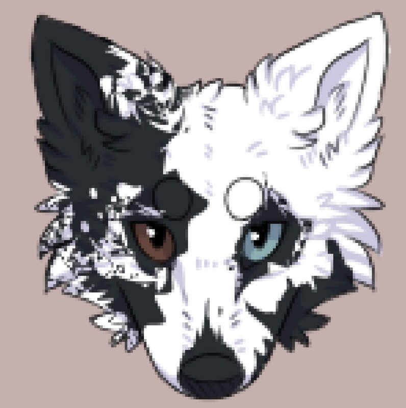 Adopts & art bought from Ephraim Pack #254665 ( Wolf play ) — Postimages