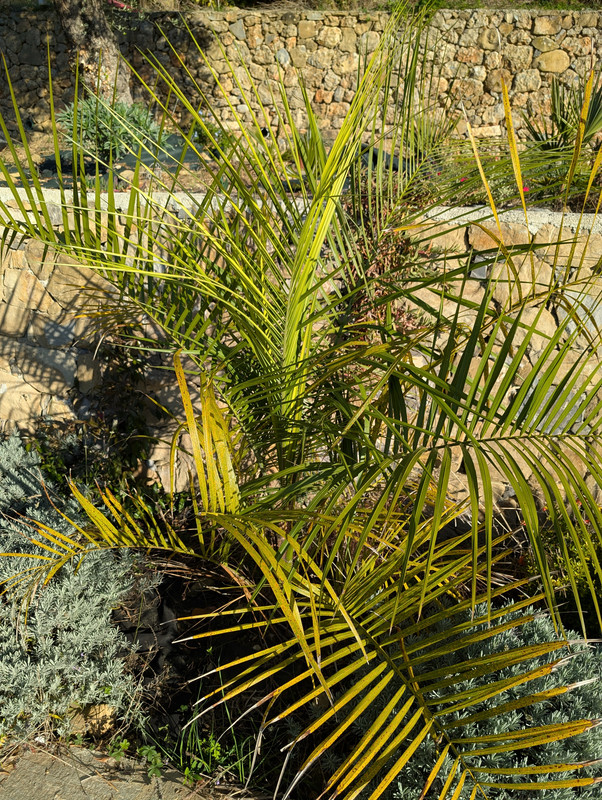 PXL 20251103 141957216