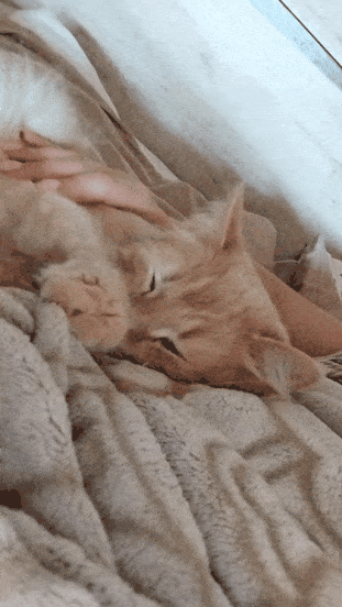 20240221-103452.gif