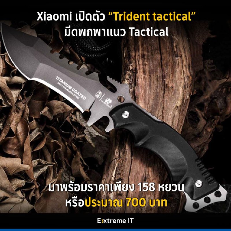 83198838_2668506263257020_8594064593897127936_o