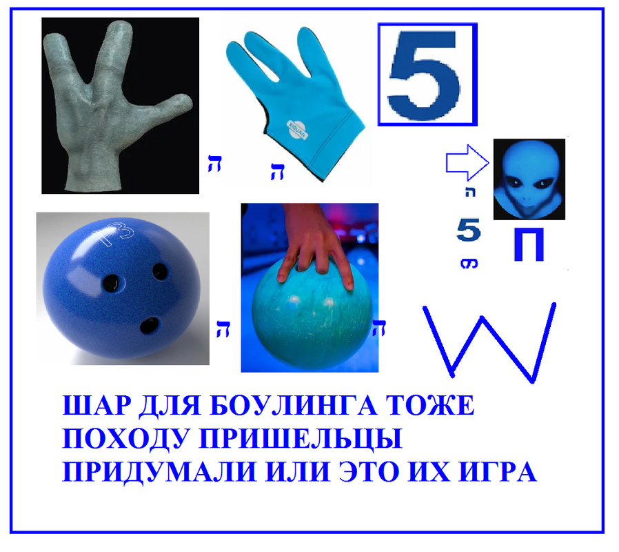 https://i.postimg.cc/Pr1Jp2Mp/51.png