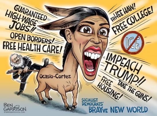 aoc-braying