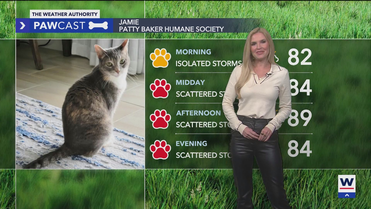 WINK Weekend News at 11PM Sunday_20250908_04000500.ts_snapshot_00.20.03.786