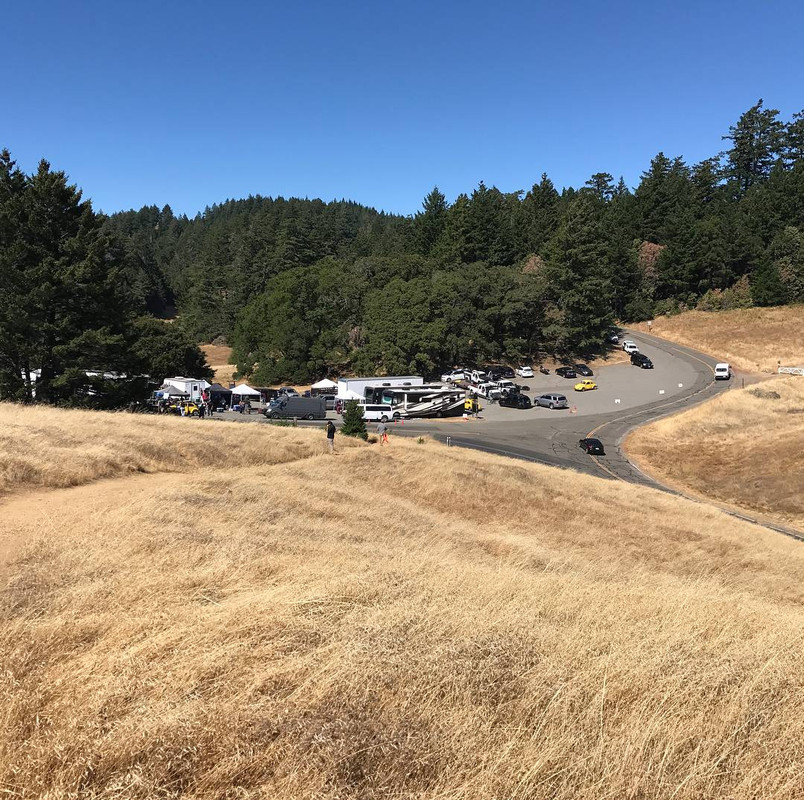 Bumblebee-Mount-Tamalpais-002