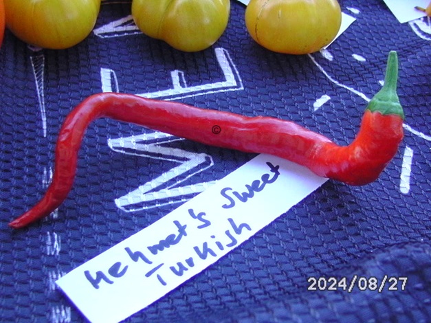 [Bild: BILD0361.jpg]