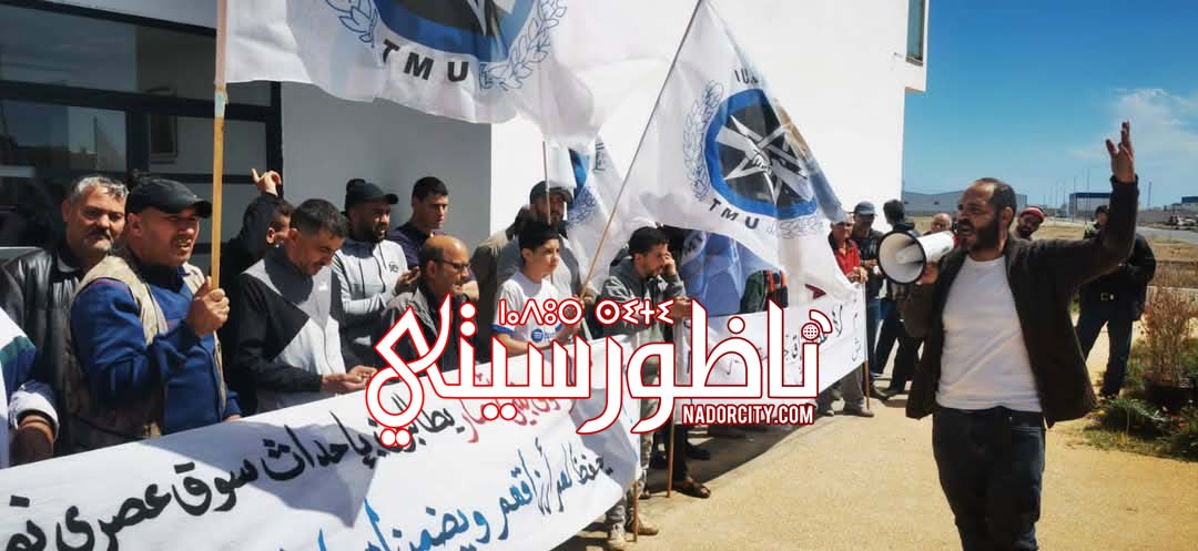 494830715-1869416600516597-5908181390343339892-n