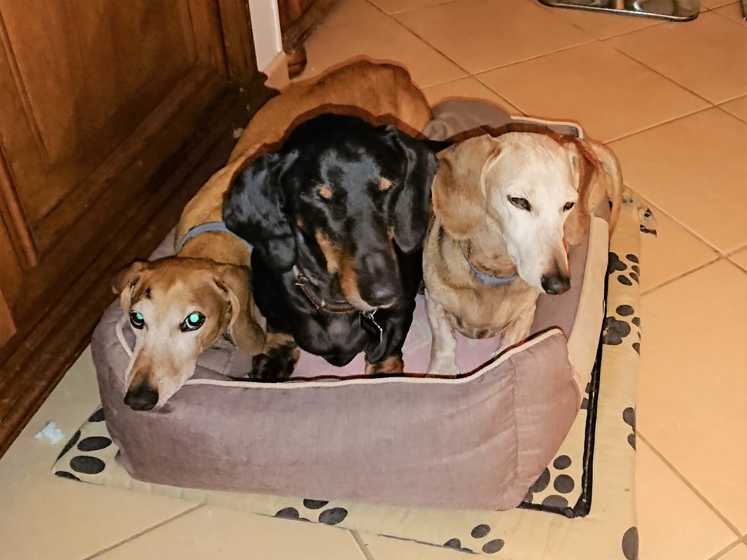 [Image: DSC-1070.jpg]