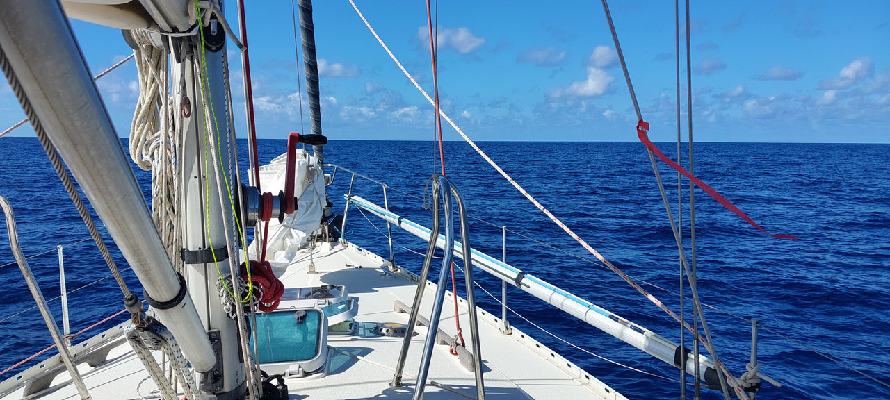 [Imagen: 20251029-121310.jpg]