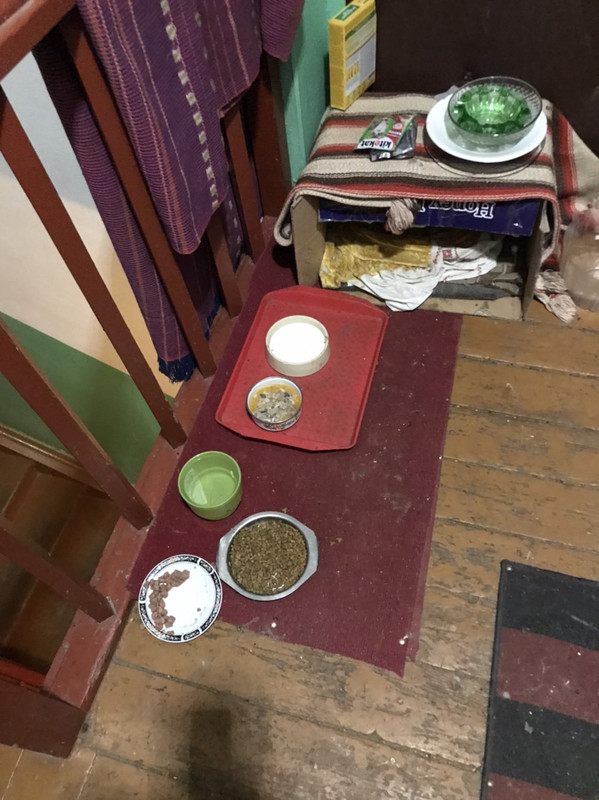 FED3D188-8C90-4CF7-8D1E-CB732C0BBA9E