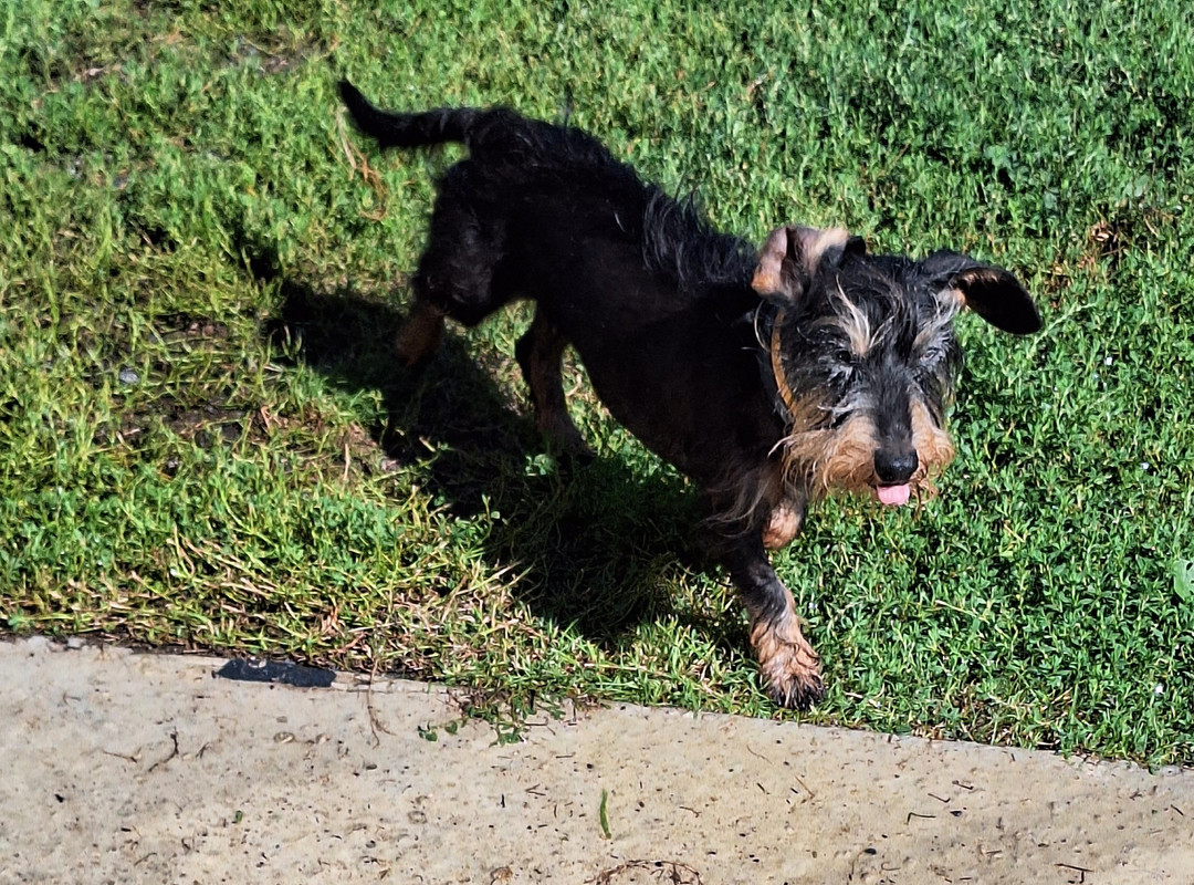 [Image: 20230821-112810.jpg]