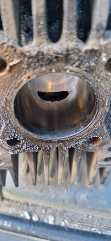 WhatsApp Image 2024-10-01 at 13.33.00 (1)