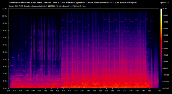 03 Carbon Based Lifeforms 42 Live at Ozora 2024 flac