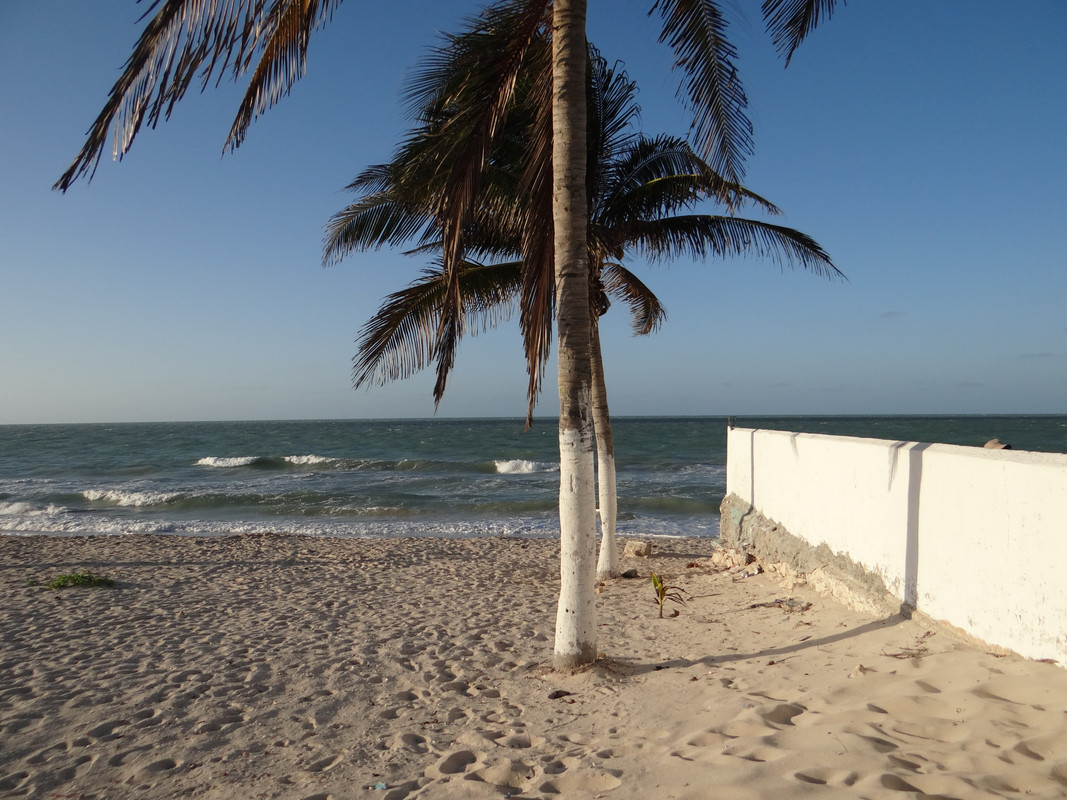 Un-d-a-en-la-playa-en-la-tarde-6