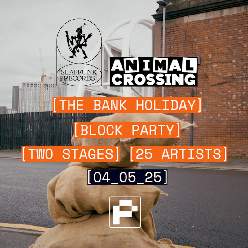 1935448-1ac06067-slapfunk-animal-crossing-present-the-bank-holiday-block-party-1024