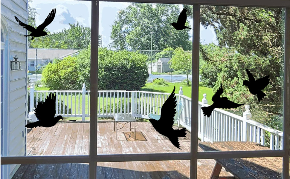 Stop Birds From Flying Into Windows​