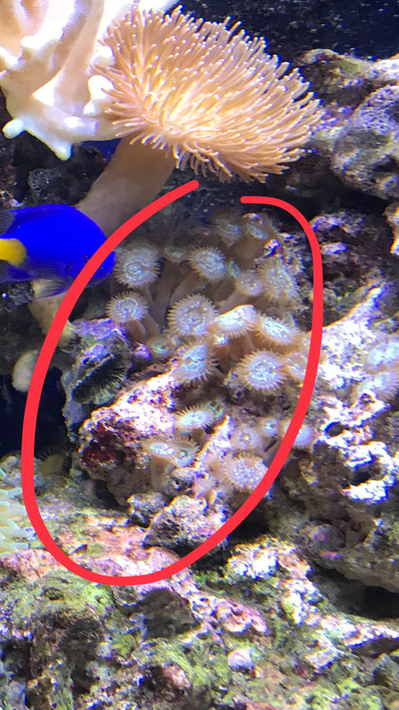 71CB94E8-7207-45D8-A537-0CD00C8DE8B1