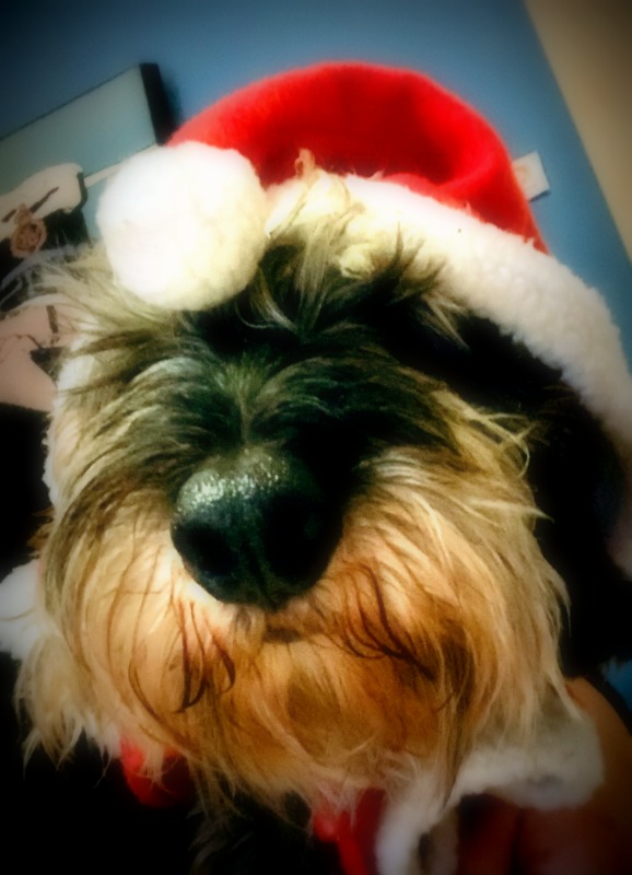 [Image: IMG-1527.jpg]