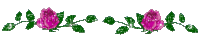 10701-04fa1.gif