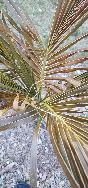 att Ppj Zc186e1S8Ygrde Ws C7zu7ozaxd0j M7Ce A4h Ut Iv A