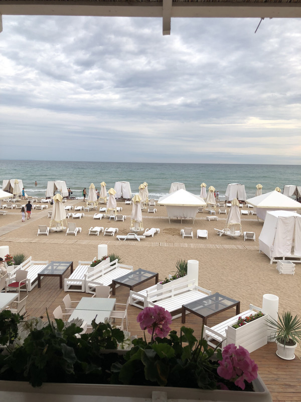 39330CE6-AB4C-41A5-96AD-94D1A4D8F6EE