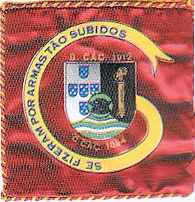 CCac1684-1