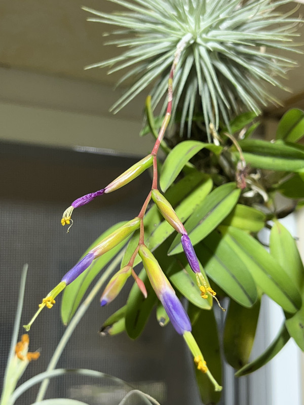 942E68D5-ACAC-46E0-BE1B-21D5C8E7B8AE