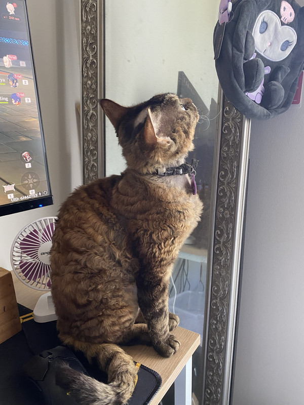 B378FF14-AB34-41C5-8058-F3D8736A1D3A