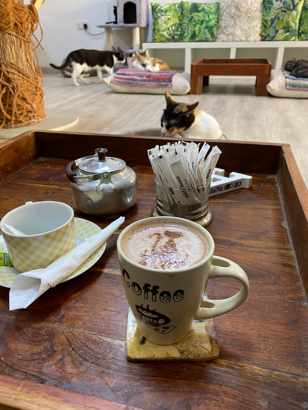 dubai coffee — Postimages