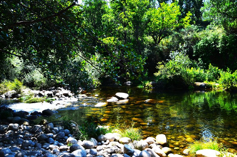 EL CHARCO LOS MUROS-15-6-2023 - Extremadura y sus pueblos -2010-2023 (5)
